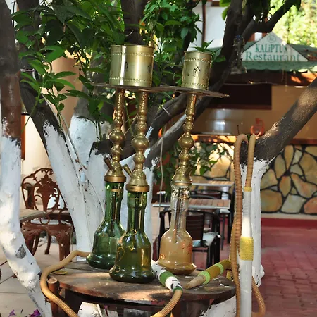 Kaliptus Hotel Kemer