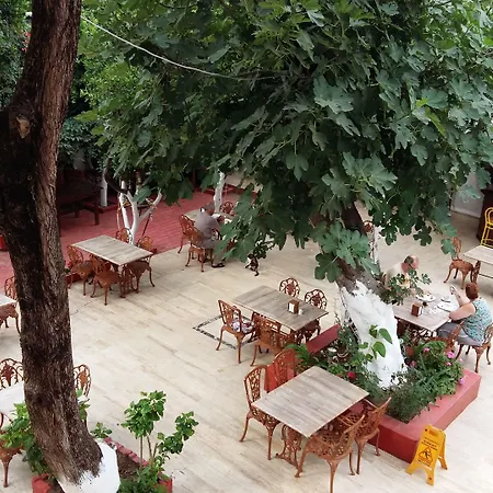 Hotel Kaliptus Kemer