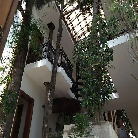 Hotel Kaliptus