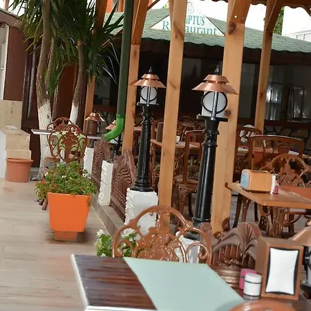 Kaliptus Hotel Kemer