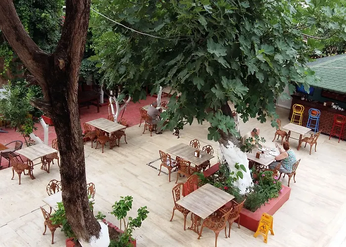 Szálloda Kaliptus Kemer