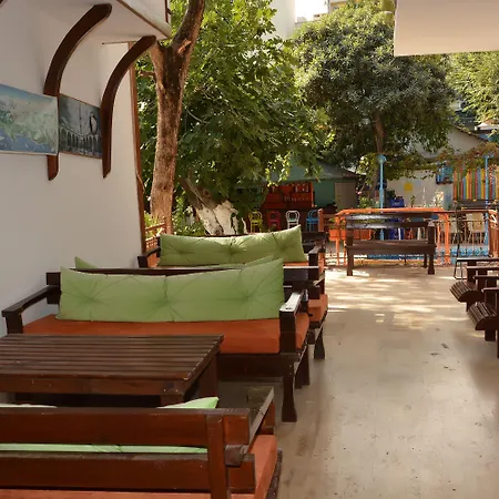 فندق كاليبتوس كمر