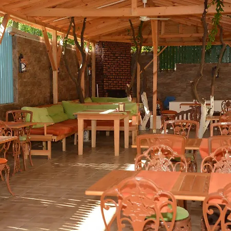 كاليبتوس كمر