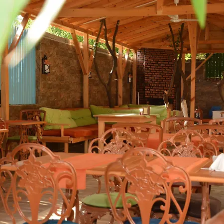 كاليبتوس كمر