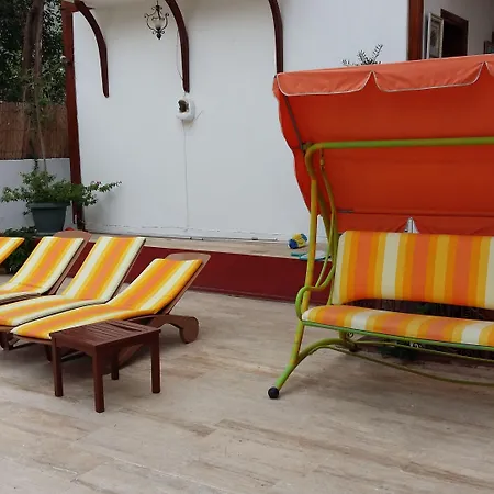 كاليبتوس فندق