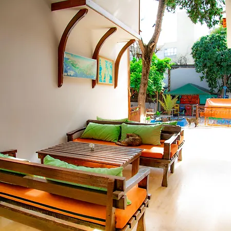 فندق كاليبتوس