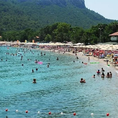 فندق كاليبتوس 2*